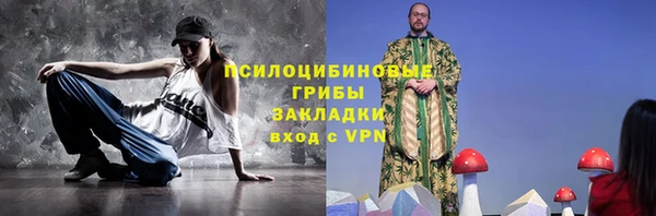 индика Верхний Тагил