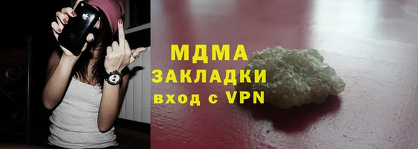 индика Верхний Тагил